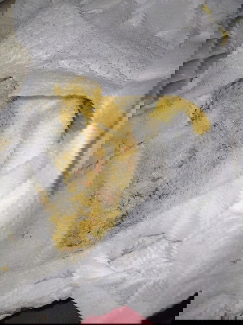 Mấy mom có kinh nghiệm cho em hỏi là bé 3m2d đi ngoài kèm máu có sao kh ạ 😢 
Dịch vậy đi khám kh đx