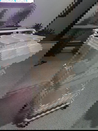 Malamig na tubig or gatas pwede ba O hindi during pregnancy?