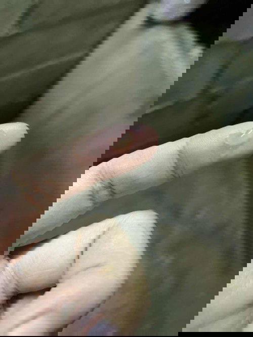 สอบถามค่ะ ท้องแรกยังไม่มีประสบการณ์