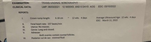 Pregnancy calculation