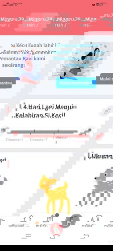 H-4 Hpl 20 Oktober..