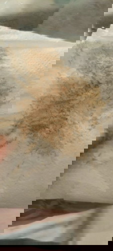 ขอสอบถามคะ