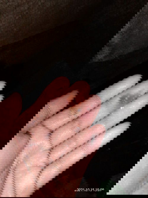 Sign na po ba na manganganak na?