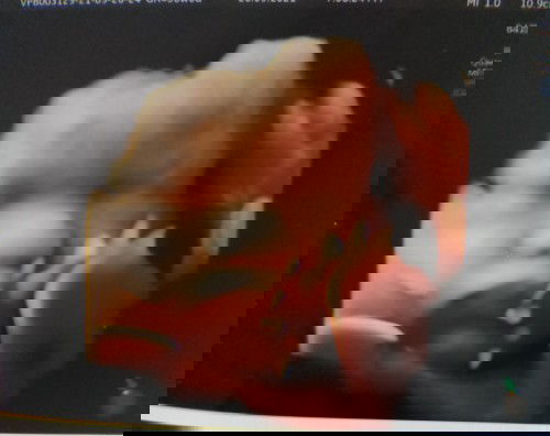 Trâu đực 39w 3,5 kg