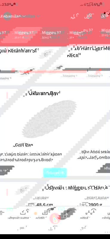 Bagi pngalaman dong bun