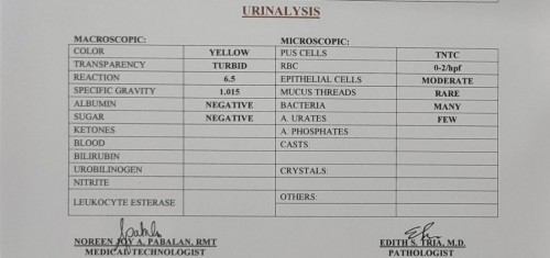 UTI during pregnancy