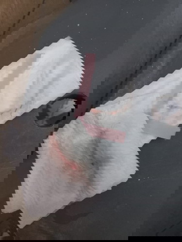 Lendir darah usia 36 minggu 6 hari