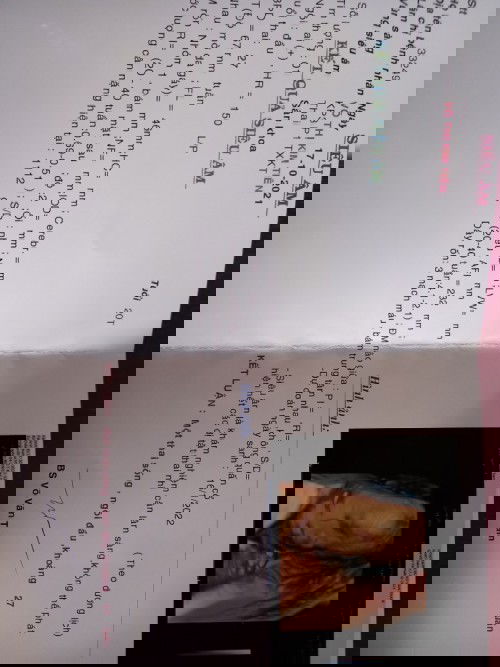 Bầu bé trai 27 tuần