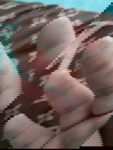 สอบถามแม่ๆหน่อยค่ะมีแบบนี้ออกมาต้องไปหาหมอไหมคะไม่เจ้บท้องท้องไม่ปั้นท้องไม่แข็ง