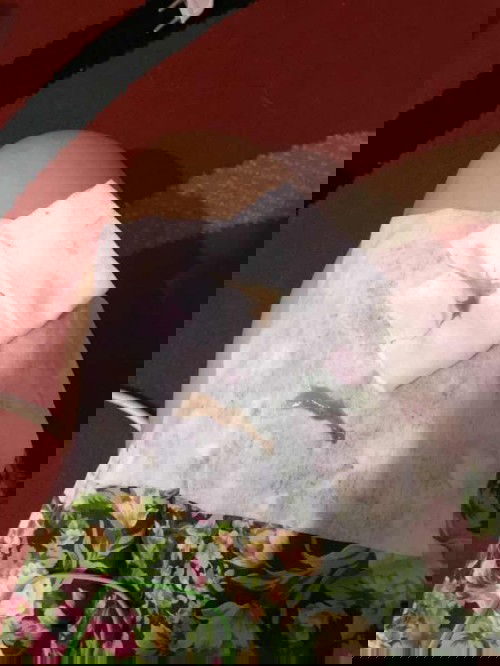 Pembukaan belum bertambah sudah 5hari