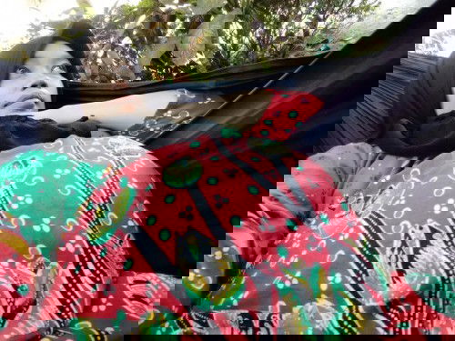 39 minggu
Janin di zona nyaman nya.