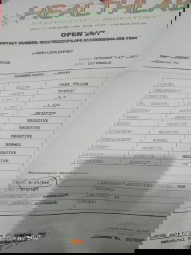 Urinalysis Result