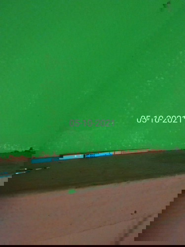 Kebahagiaan sesaat😢