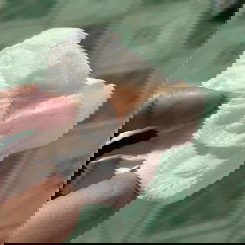 มีมูกปนเลือดออกคะ 39w+5d สอบถามแม่ๆที่มีประสบการณ์แบบนี้น่อยคะ #ทีมตุลา ท้องลูกคนแรก