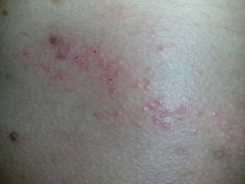 30 w+3 ทีมธันวา