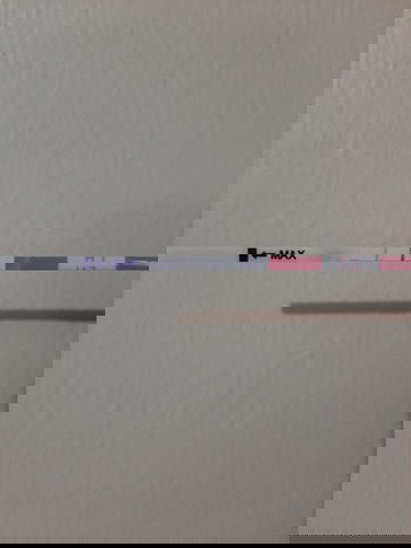 Ovulation test