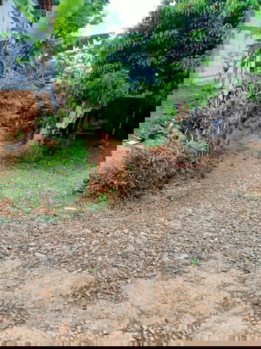 perut sering sakit saat hamil muda karna pekerjaan motor motoran terus