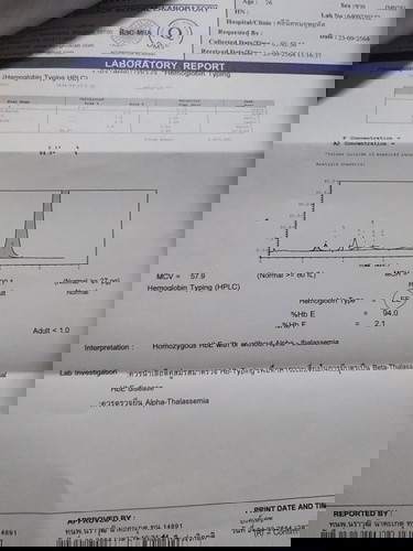 รบกวนสอบถามนะคะ ใบผลเลือด