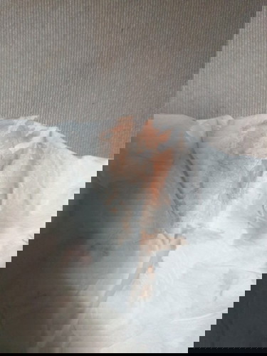 มีเลือดออก ขณะตั้งครรภ์ 3 เดือนหลังไปหาหมอ เเละฉีดยากันเเท้งคุกคาม เเล้วยังมีเลือดออกไม่หยุด