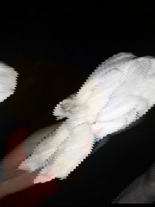 ขออภัยหากรูปไม่สุภาพค่ะ😅