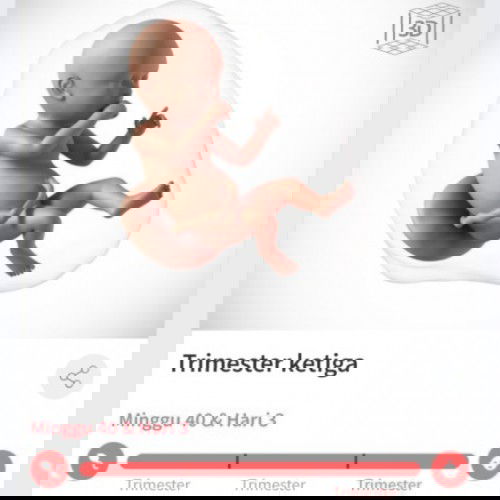 Sudah lewat 5 HPL belum lahir