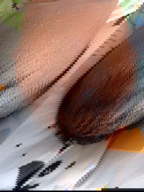 Kepala bayi beruntusan