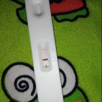 Pregnancy test