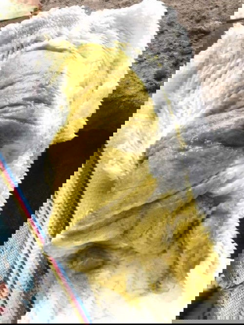 ตัวเล็กถ่ายท้องแบบนี้อันตรายไหม