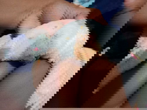 Apa ini poop darah bund??