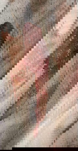 Wonder what is this?