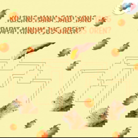 Kucing mana yang dapat akhirnya?