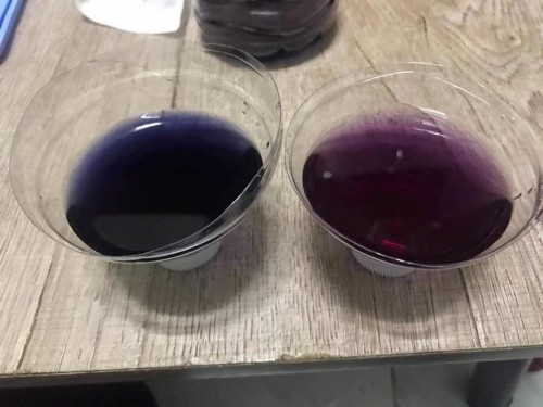 กะหล่ำปลีม่วง ทดสอบเพศในครรภ์ได้จริงหรือ?