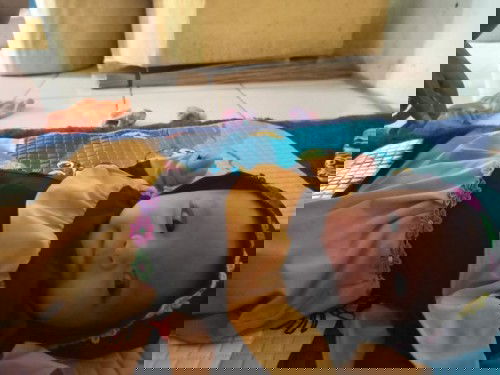 menangis saat minum sufor