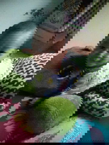 เตชินท์กับพี่เต่าครับผม