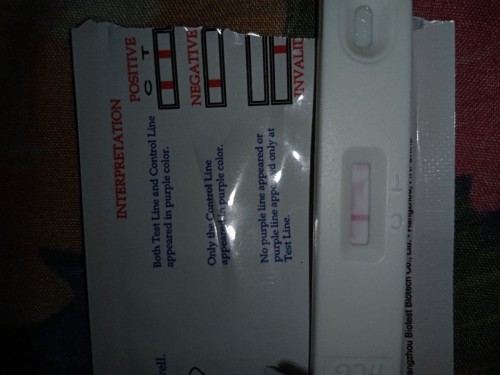 Pregnancy Test