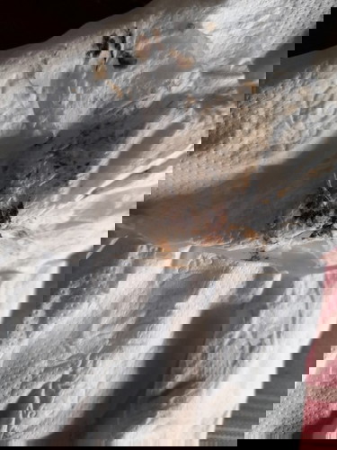 Brown Discharge 38 weeks and 2 days