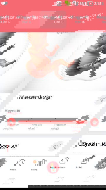 Prediksi hpl hari ini