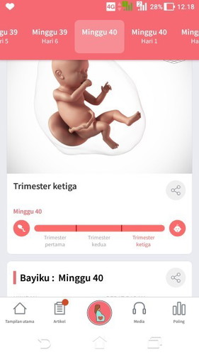 Prediksi hpl hari ini