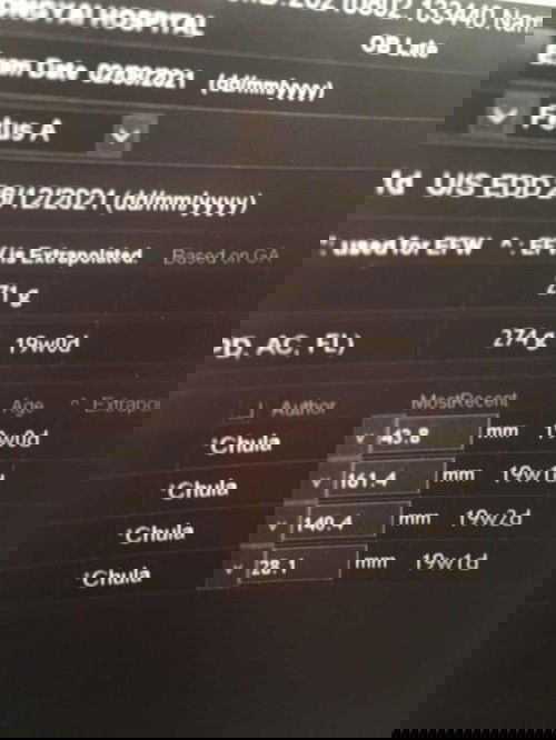 นำ้หนักลูกตอน19W