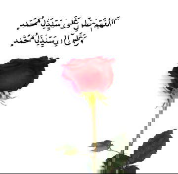 😊😊😊😊😊😊😊😊💕