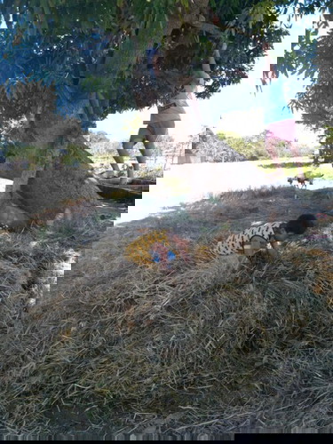 How to dicipline the right way