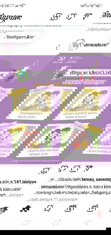 sunat bayi perempuan