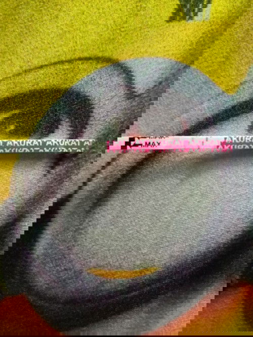 apakah saya hamil atau tidak?