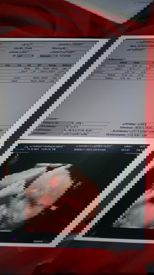 Menanti gelombang cinta dari dedebayi