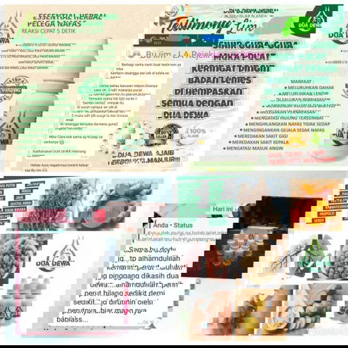 Aslmk bnda ijin shre 🙏 brg x bnda mmbthkan obt herbal yg 1 ini 1 prdk sjta mnpaat bs wa089626198084