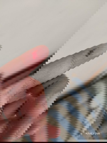 Hello po normal lang poba labasan ng dugo 6 weeks pregnant po ako