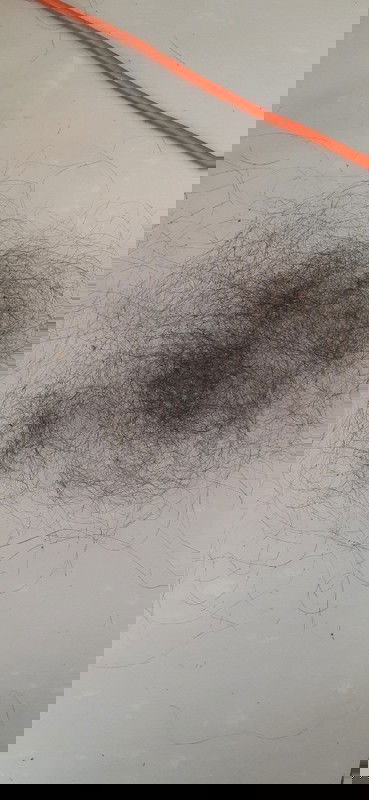 tóc  1 lần  chải  rụng  nhiều  như  vậy  có  sao khong m.n