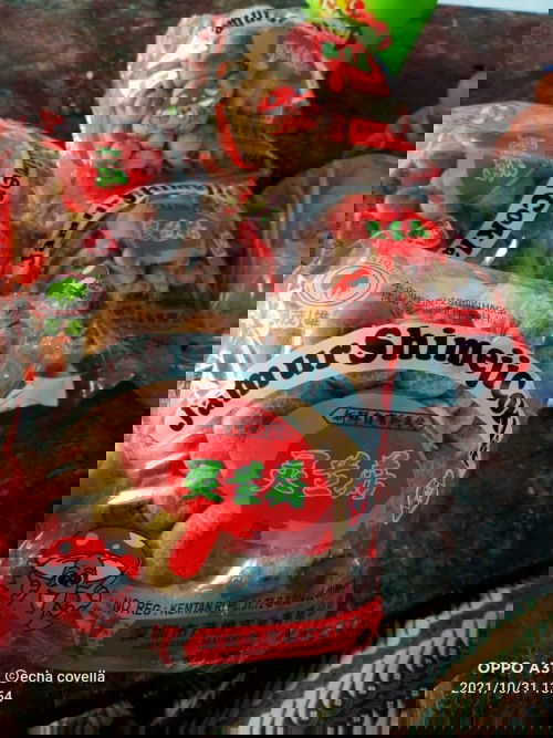 Jamur shimeji coklat bolehkah di konsumsi ibu hamil?