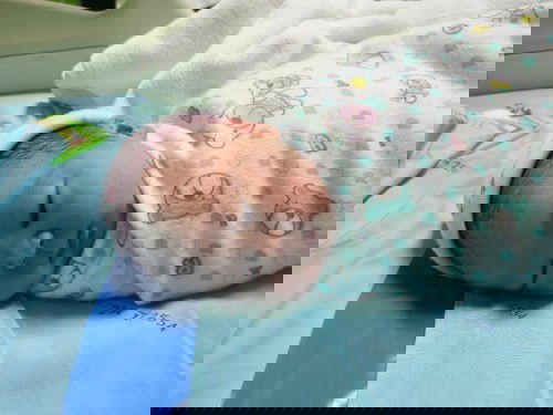 แตกแล้วจ้า