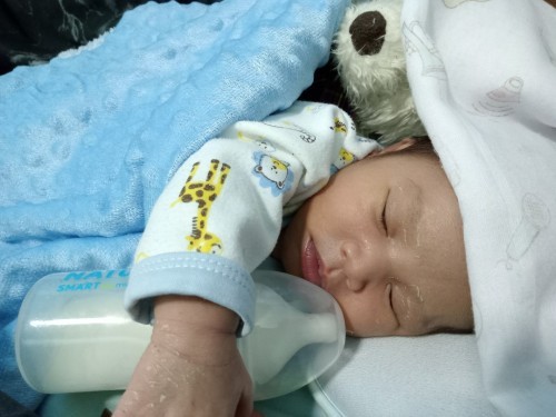 ว่าด้วยต้าววัยอ้วน 11 วัน